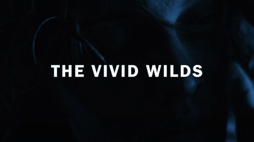 The Vivid Wilds — Fundos 4