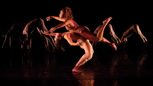 Pilobolus Backdrop Blur