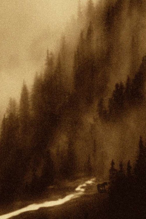 Sleep Has Her House poster
