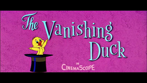 The Vanishing Duck
