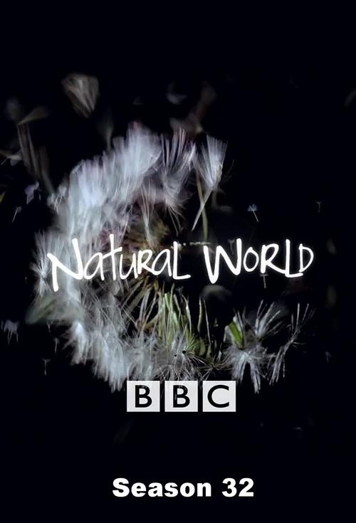 Natural World, S32 - (2012)