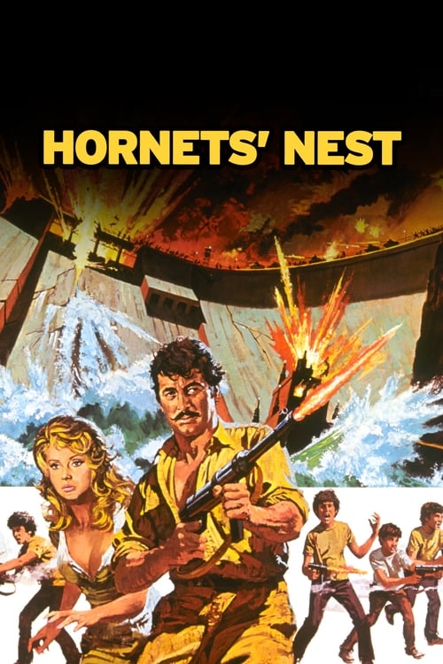 Hornets' Nest (1970)