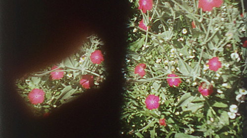 Кадр из Precarious Garden