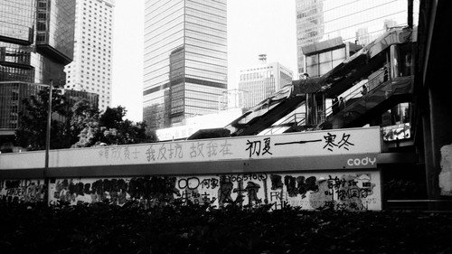 After the Riots, Before the Liberation