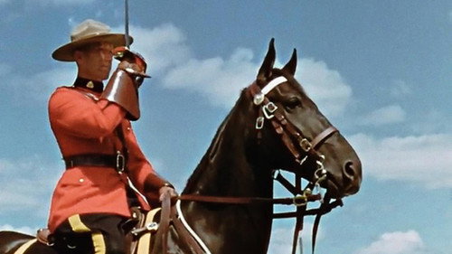 The Musical Ride Backdrop Blur