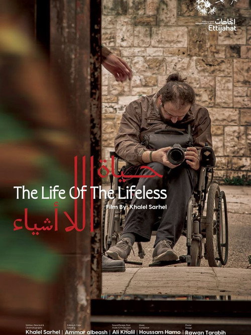 حياة اللا أشياء