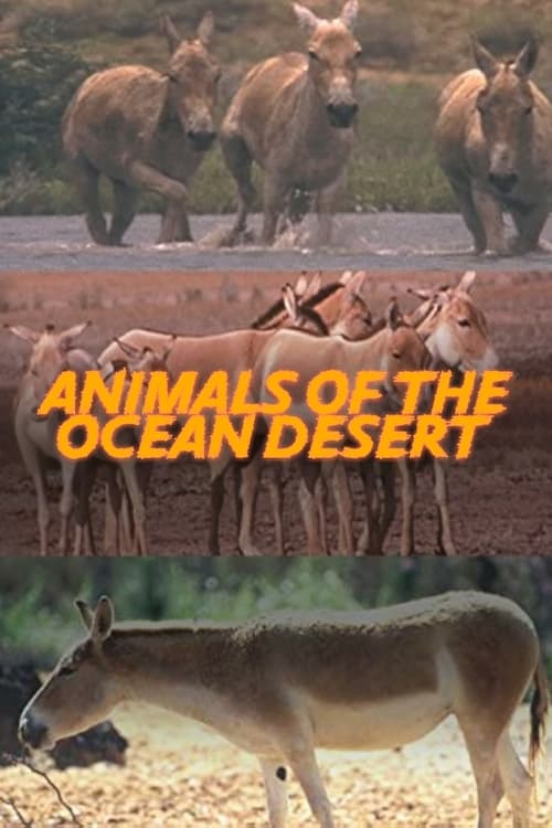 Poster Animals of the Ocean Desert 2001