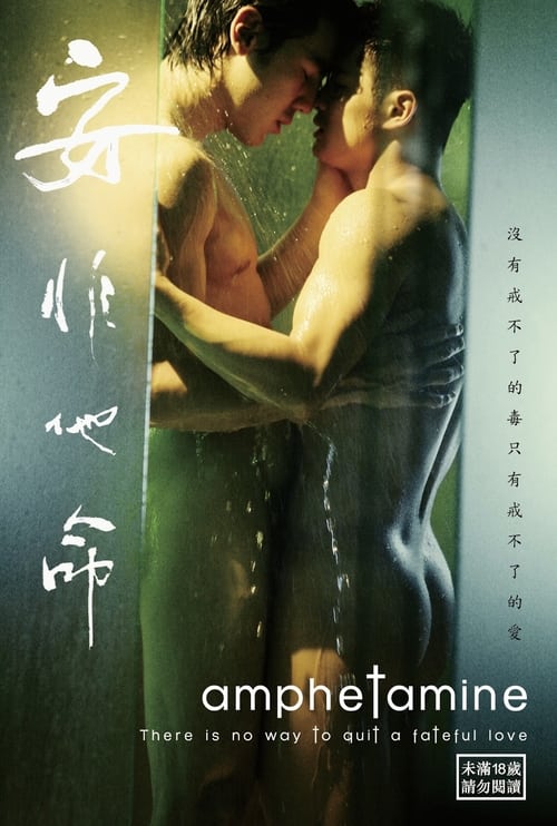 Poster 安非他命 2010