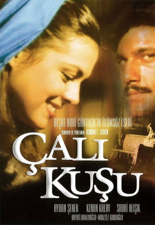Çalıkuşu