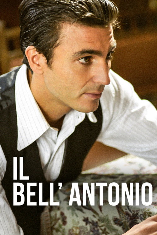 Poster Il bell'Antonio