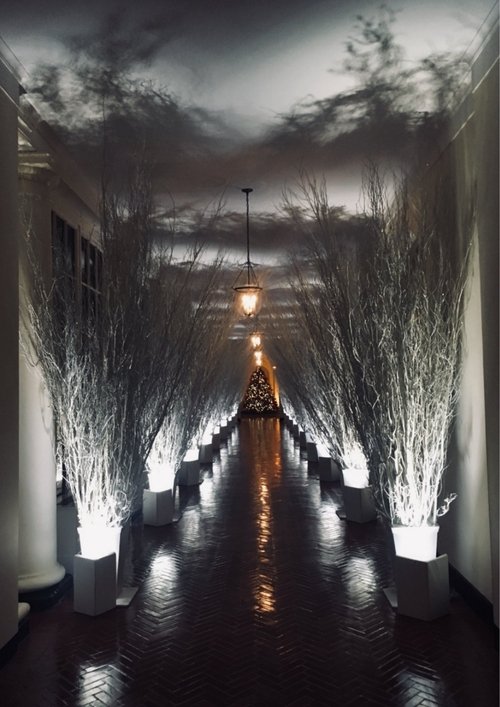 2017 Holiday Decorations at the White House 2017