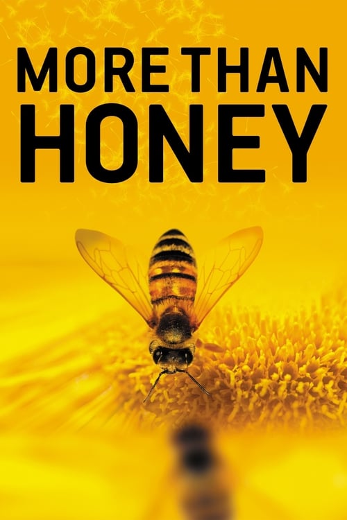 More Than Honey (2012) Poster