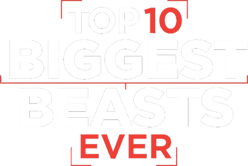 Top 10 Biggest Beasts Ever
