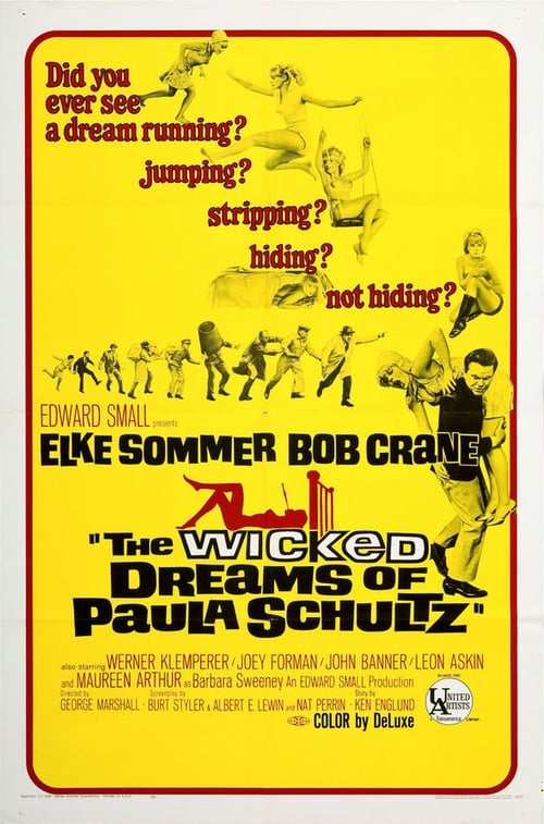 The Wicked Dreams of Paula Schultz poster