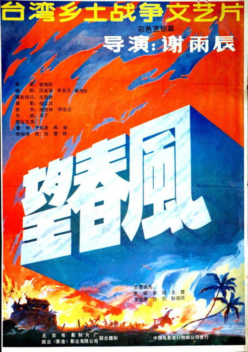 望春风 (1987) poster