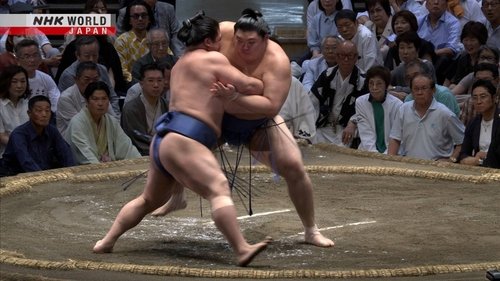 Épisode 11