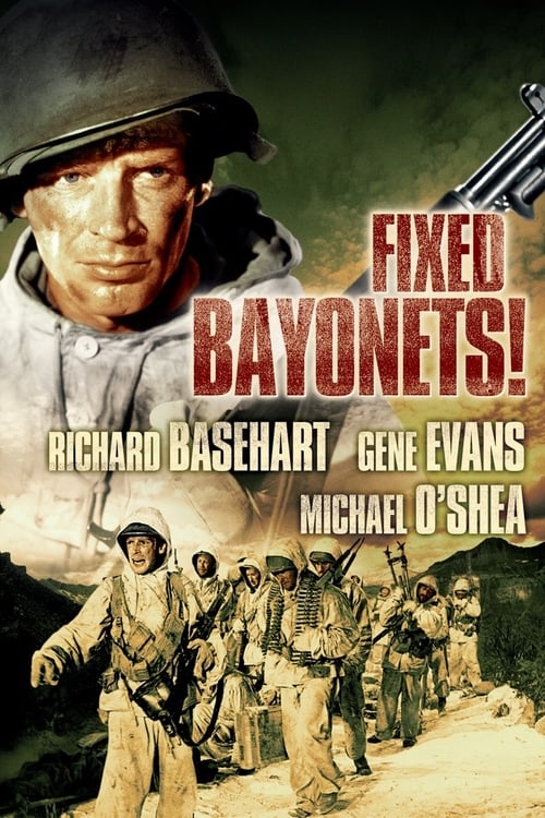 Grootschalige poster van Fixed Bayonets!