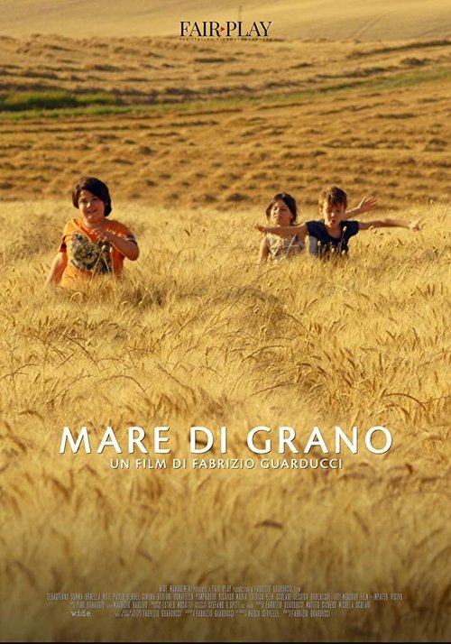 Mare di grano 2018