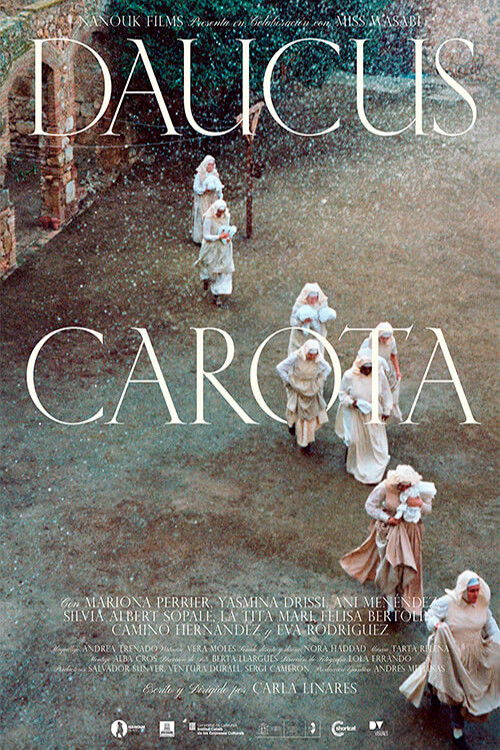 Daucus Carota poster