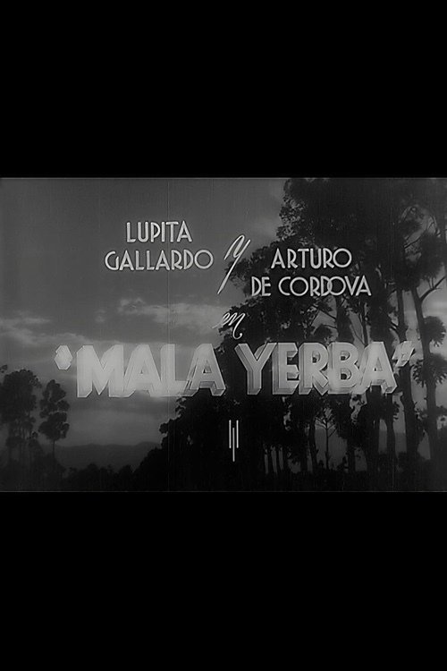 Mala yerba (1940)