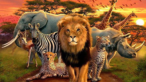 Great Species of Africa still