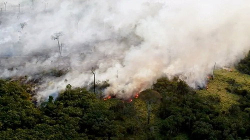 Amazônia Sociedade Anônima