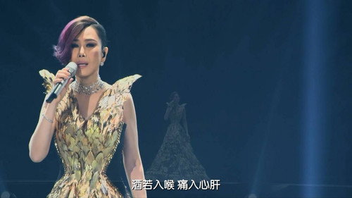 江蕙 2013《鏡花水月》演唱會 Backdrop Blur