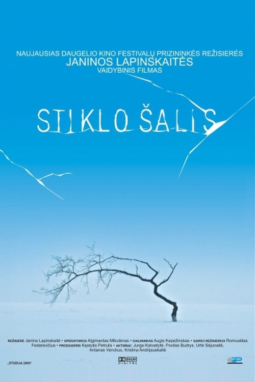 Stiklo salis 2005