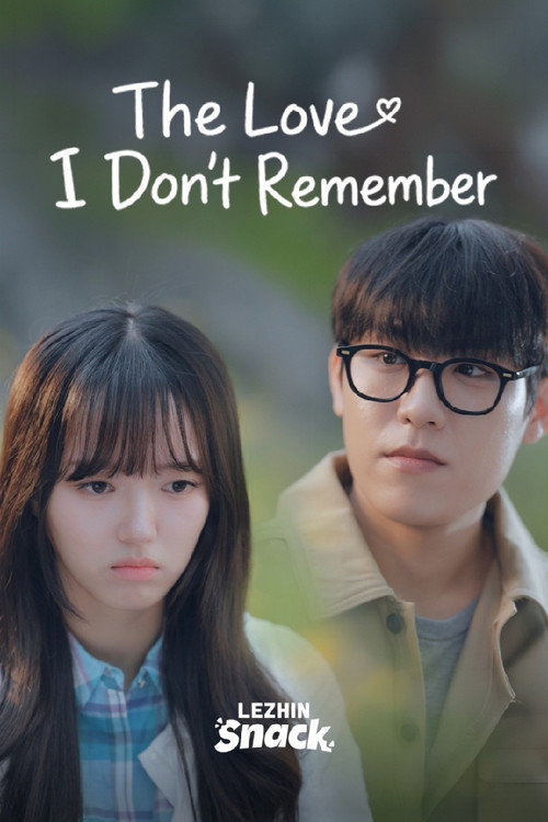 The Love I Don't Remember Poster