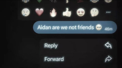 i'm sorry, aidan.