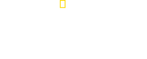Kingdom of the Polar Bears