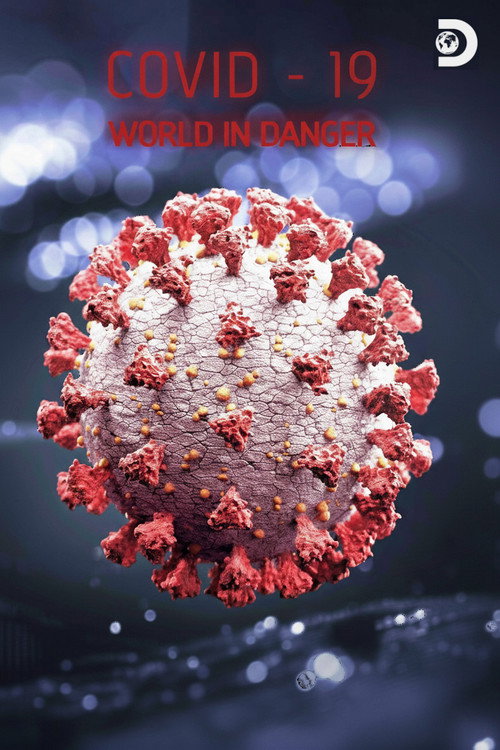 Covid 19: The World in Danger poster