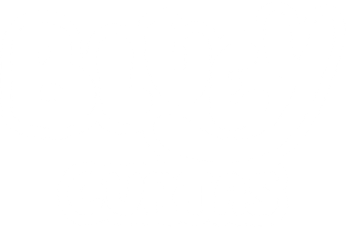 Pequenas Histórias com Bluey - Logo 6
