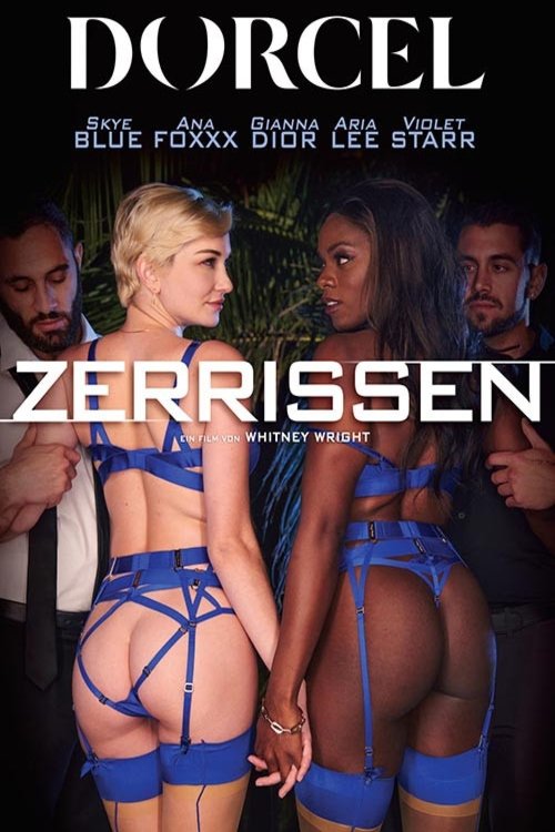 Zerrissen poster
