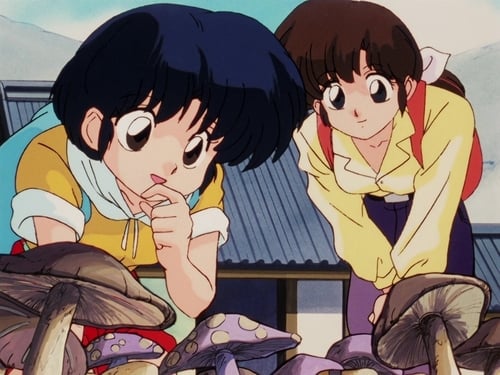 Poster della serie Ranma ½