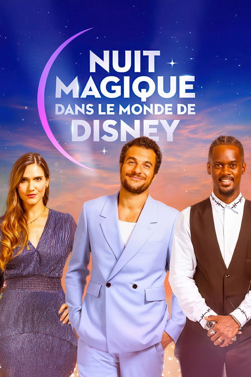 Magical Night in Disney World poster