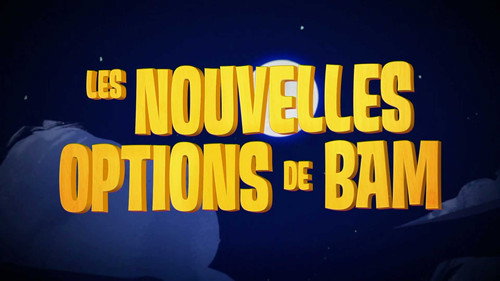 Image Les nouvelles options de Bam
