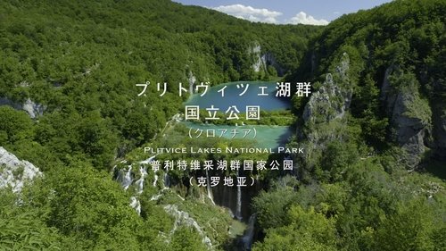 Image de l'épisode 11