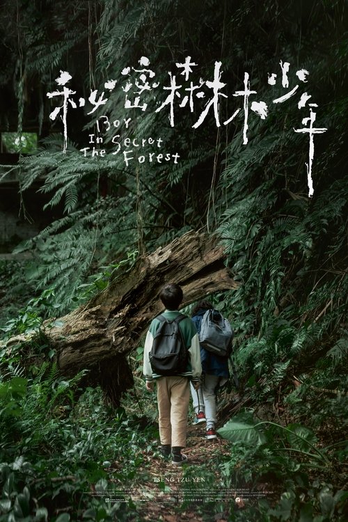Poster 2
