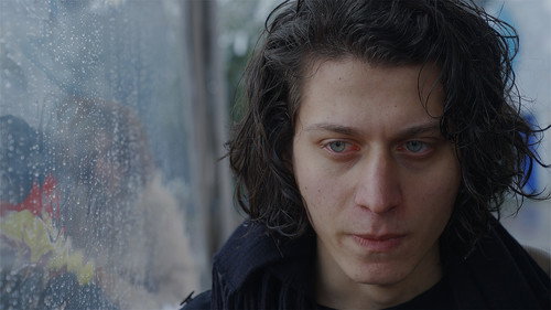 The Leaf Covered in Hoarfrost