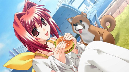 アカネマニアックス〜流れ星伝説剛田〜 同一世界観という設定の作品群。時系列は『君