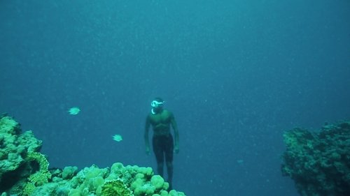 Épisode 1