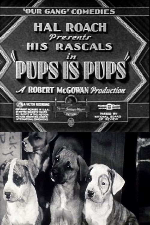 Pups Is Pups Movie Poster Image