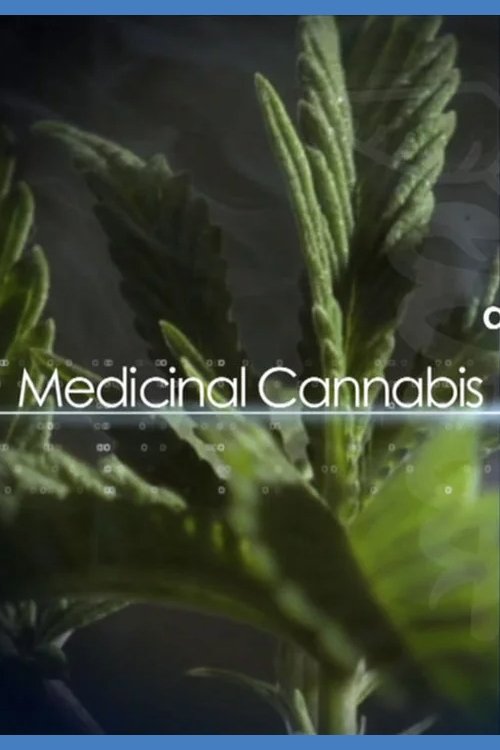 Medical Cannabis and Its Impact on Human Health 2011