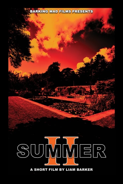 Poster SUMMER II 
