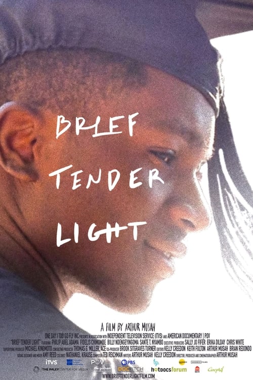 Brief Tender Light (2024)
