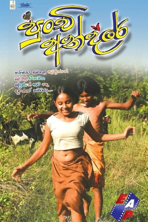 Punchi Andare