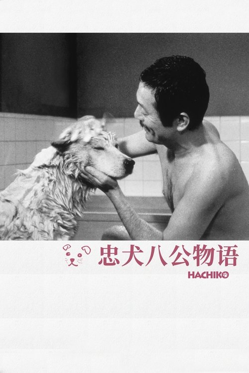 null 忠犬八公物语 - Movie Banner