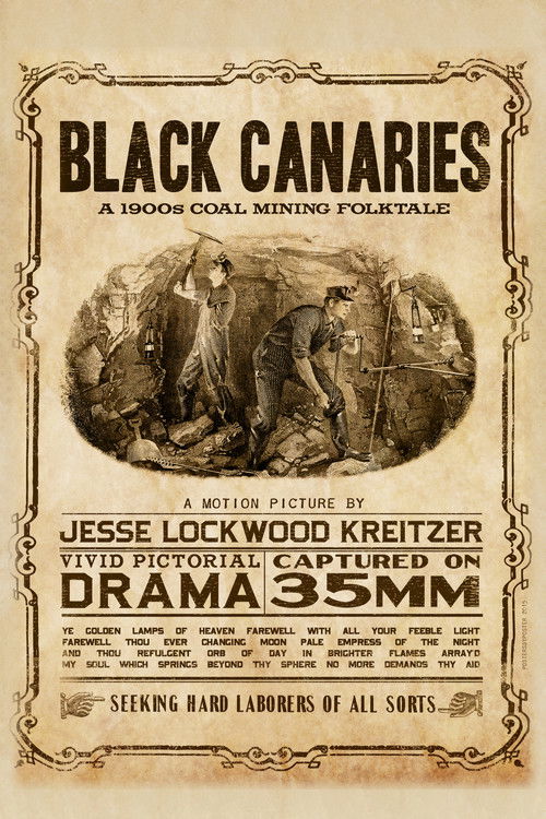 Black Canaries poster