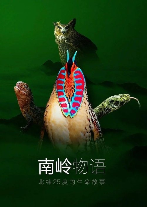 南岭物语 (2021) poster